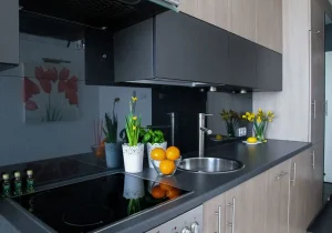 2 BHK ready to move flats in Guwahati