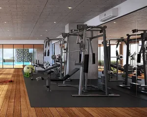 Fully equipped gym with modern workout machines, wooden flooring, and large glass windows for natural light.